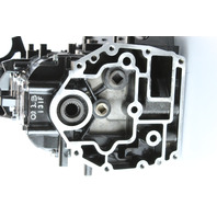 Mercury 2001 - 2006 Undressed Powerhead 40 50 60 HP EFI 4-Stroke 4 Cylinder