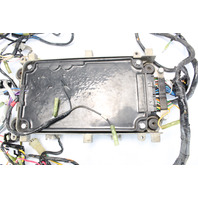 Yamaha 2001 2002 2003 2004 CDI Unit & Wiring Harness 200 225 HP 1 YEAR WARRANTY
