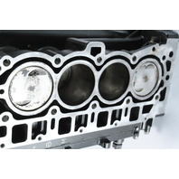 Mercury 2001 - 2008 Powerhead Assembly 40 50 60HP EFI 4-Stroke READY TO INSTALL