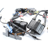 Johnson Evinrude 2005 Complete Ignition System 9.9 10 15 HP 1 YEAR WARRANTY