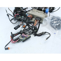 Evinrude Johnson 1999 FICHT ECU W/ Motor Cables & Fuel Injectors 175 HP 1 YR WTY