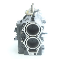 Johnson Evinrude 1993 - 2005 Powerhead 40 48 50 HP 2 Cylinder GOOD COMPRESSION