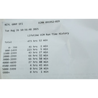 Mercury 2002 2003 - 2006 ECU ECM PCU Engine Control Module 60 HP 1 YEAR WARRANTY