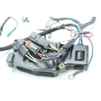 Johnson Evinrude 1995 - 2004 Ignition System 9.9 10 15 25 35 HP 1 YEAR WARRANTY
