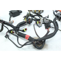 OEM Johnson Evinrude 2012 Stator W/ Harness & Coils  15 25 30 HP 1 YEAR WARRANTY