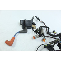 OEM Johnson Evinrude 2012 Stator W/ Harness & Coils  15 25 30 HP 1 YEAR WARRANTY