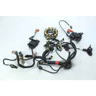 OEM Johnson Evinrude 2012 Stator W/ Harness & Coils  15 25 30 HP 1 YEAR WARRANTY