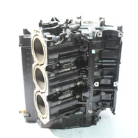 OEM Mercury 2004 & UP Optimax & ProXS Rebuildable Block 200 225 250 HP DFI V6