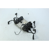 OEM Mercury 1975 - 1999 Ignition Plate & Coils (6)  6 8 9.9 10 + HP 1 YR WTY