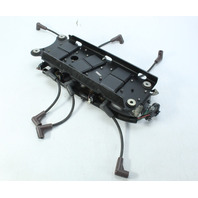 OEM Mercury OPTIMAX PRO XS 1998 - 2006 Coils & Plate 200 225 250 HP 1 YEAR WTY