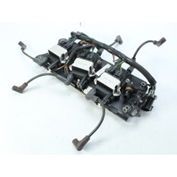 OEM Mercury OPTIMAX PRO XS 1998 - 2006 Coils & Plate 200 225 250 HP 1 YEAR WTY