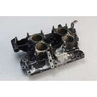 Johnson Evinrude 1978 1979 Intake Manifold W/ Reeds 100 115 120 125 + HP