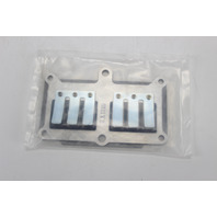 ✨ NEW! ✨ OLD STOCK! OEM Suzuki 1977 1978 1979 Reed Plate 20 25 28 HP