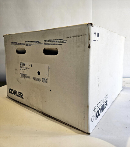 KOHLER 19022-1-0 PARK FALLS 21X22 DUAL MOUNT SINK 1 HOLE WHITE