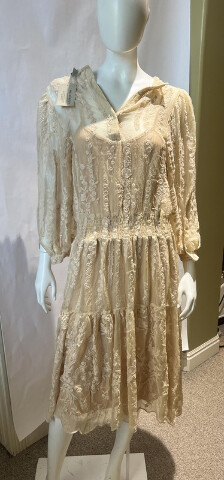 SUNDANCE EMBROIDERED LACE DRESS V-NECK W BUTTONS CREAM PETITE XS 106725-PXS-CHMP