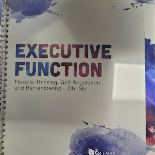 QTY*10 - EXECUTIVE FUNCTION FLEXIBLE THINKING SELF-REGULATION AND REMEMBERING-OH MY