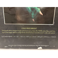 EPSON COLD PRESS BRIGHT PROFESSIONAL PAPER 25 SHEETS 17X22" S042311