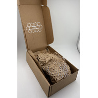 EVOTECH EP TRIUMPH TRIDENT NON BAR END MIRROR KIT MOTORCYCLE PRN015509-015961 2021+