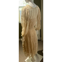SUNDANCE EMBROIDERED LACE DRESS V-NECK W BUTTONS CREAM PETITE XS 106725-PXS-CHMP