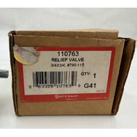BELL & GOSSETT 110763 3/4 X 3/4 #790-115 ASME SAFETY RELIEF VALVE G41