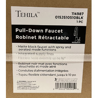TEHILA 2507 19G WALL-MOUNTED ULTILITY SINK KIT BLACK FINISH PULL DOWN FAUCET