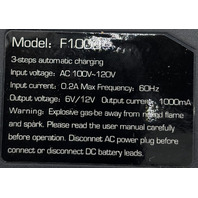 NEXPOW F1000 SMART CHARGER 1000MA CAR AND MOTORCYCLE BATTERY MAINTAINER