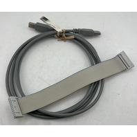 SEGGER FLASHER PRO V7 5.17.01 JTAG SWD SPI IN-CIRCUIT FLASH PROGRAMMER