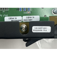CIENA 130-0257-900 MULTIWAVE SINGLE PUMP MOD MODULE LGR3D0BCAA