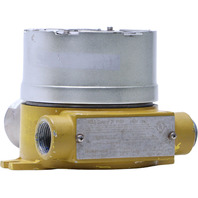 HONEYWELL RAEGUARD 2 PID FGM-2002 GAS DETECTOR