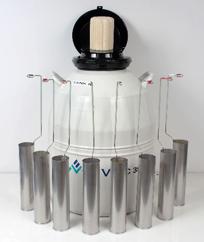MVE Chart XC-35/12 Cryogenic Sample Tank LN2 Dewar + Canisters - 90 Days Storage