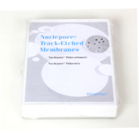 Whatman Nuclepore Track-Etched Membrane Filter, 13mm 0.4um, 110407 -NEW 100 Pk-