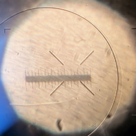 Carl Zeiss Plan 2.5/0.08 Microscope Objective Lens 160mm 2.5x RMS, RMS