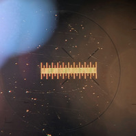 Carl Zeiss Plan 2.5/0.08 Microscope Objective Lens 160mm 2.5x RMS, RMS