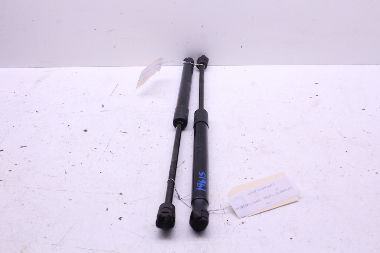 2007-2013 BMW X5 Front Hood Shock Support Strut Pair Set 51237148346 OEM