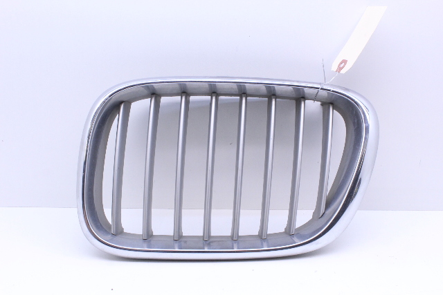 2000-2003 BMW X5 Left Upper Bumper Grille OEM