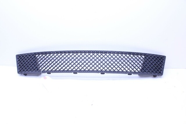 2008-2013 BMW 128i 135i Front Bumper Grille Lower Center - 51117178710 OEM