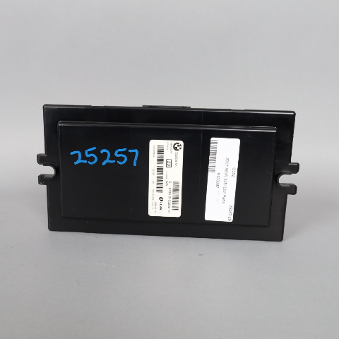 2007 BMW 328i 335i Coupe Footwell Light Control Module LCM 61359133282 OEM Used
