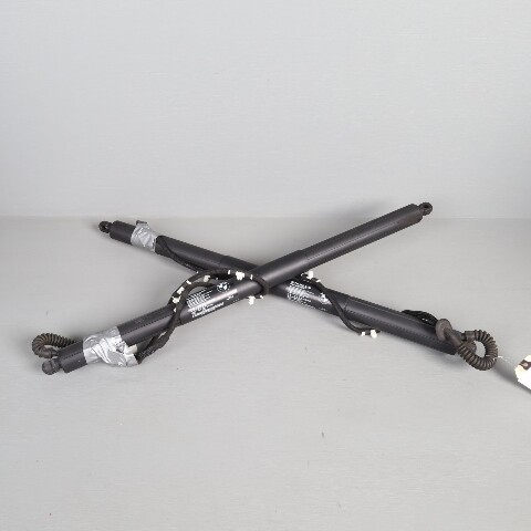 2011-2015 BMW X3 F25 Hatch Lift Support Strut Pair 51247232003 OEM
