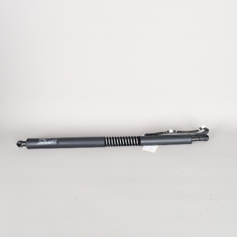 2014-2019 BMW 328i 335i Gt Right Trunk Lid Lift Actuator Shock OEM 51247298984