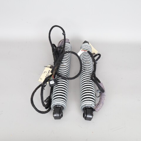 2011-2016 BMW 528i 535i 550i M5 Trunk Lid Shock Pair Set 51247207009 OEM