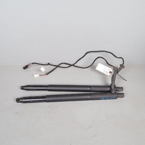 2011-2014 BMW X6 E71 Power Trunk Hatch Liftgate Strut Shock Pair Set OEM