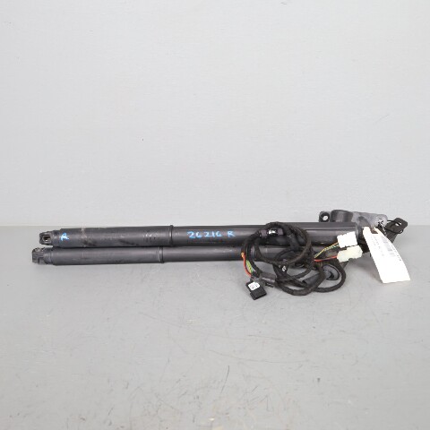 2007-2013 BMW X5 E70 Tailgate Trunk Lid Lift Actuator Shock Pair OEM
