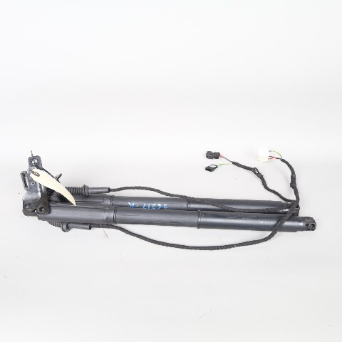 2007-2013 BMW X5 E70 Tailgate Trunk Lid Lift Actuator Shock Pair OEM