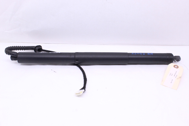 2014-2018 BMW X5 X5M Tailgate Trunk Lid Lift Actuator Shock Right OEM