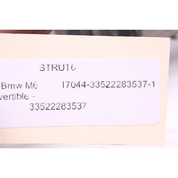 2006-2010 BMW M6 Left / Right Rear Suspension Strut 33522283537 OEM