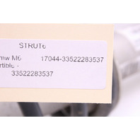 2006-2010 BMW M6 Left / Right Rear Suspension Strut OEM