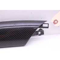 2008-2014 Audi R8 Carbon Fiber Interior Door Trim Insert Left 420867409A OEM