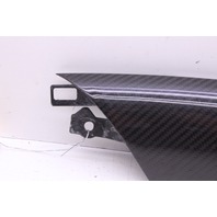 2008-2014 Audi R8 Carbon Fiber Interior Door Trim Insert Right 420867410A OEM