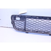 2007 BMW X5 Sport Utility 4.8i 4-Door 4.8 V8 Front Lower Bumper Grille OEM