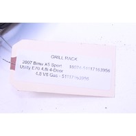 2007 BMW X5 Sport Utility 4.8i 4-Door 4.8 V8 Front Lower Bumper Grille OEM